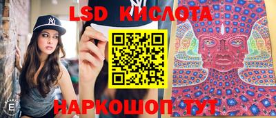 соль ск Новозыбков