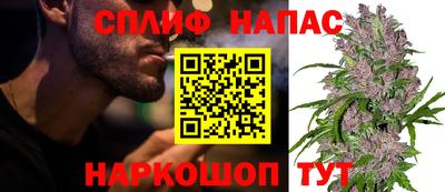 соль ск Новозыбков