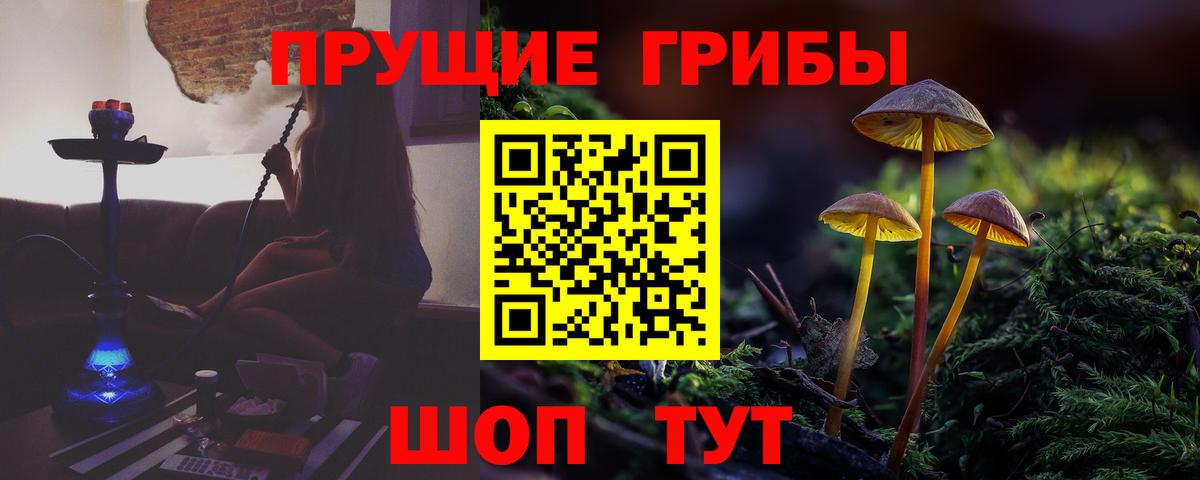 Соликамск  Псилоцибиновые грибы Cubensis  Вход с VPN  Галлюциногенные грибы ЛСД 